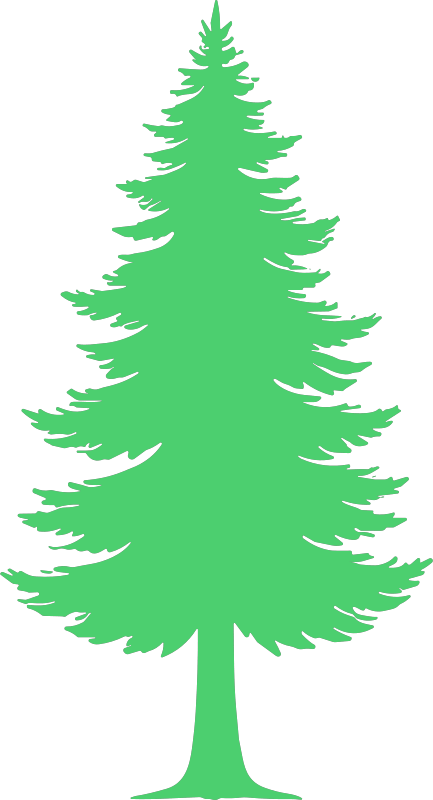 Albero